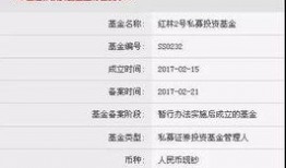 严为民最新爆料,揭秘事件背后惊人真相