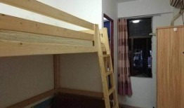 白石洲明珠花园最新爆料,品质升级，宜居生活新篇章